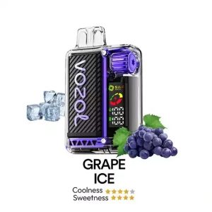 VOZOL 20000 grape ice