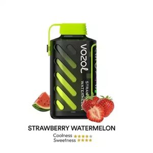 Vozol GAER POWER - Strawberry Watermelon