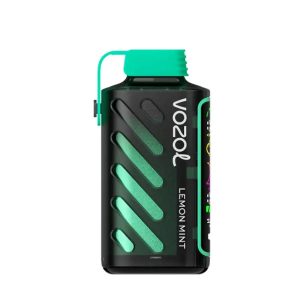 Vozol GAER POWER - Lemon Mint