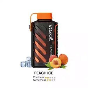 Vozol GAER POWER - Peach Ice