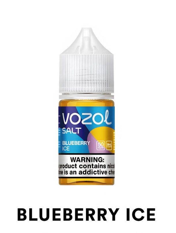 Vozol Salt - Blueberry Ice
