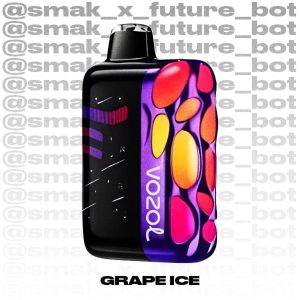 VOZOL RAVE 50.000 - Grape Ice