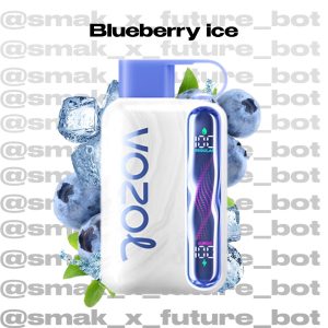 VOZOL STAR 40.000 - Blueberry Ice