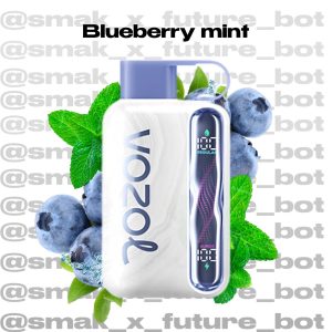 VOZOL STAR 40.000 - Blueberry Mint