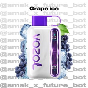 VOZOL STAR 40.000 - Grape Ice