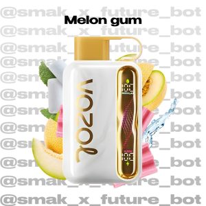 VOZOL STAR 40.000 - Melon Gum